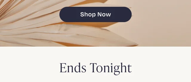 Shop Now Button - Image
