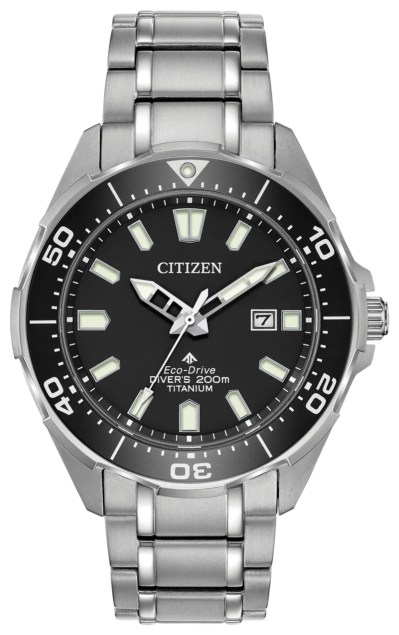 Image of Promaster Dive