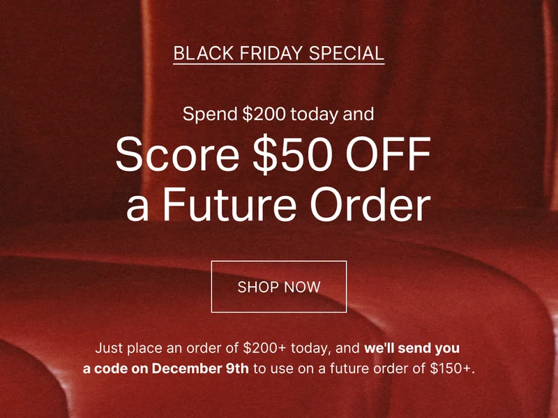 BLACK FRIDAY SPECIAL