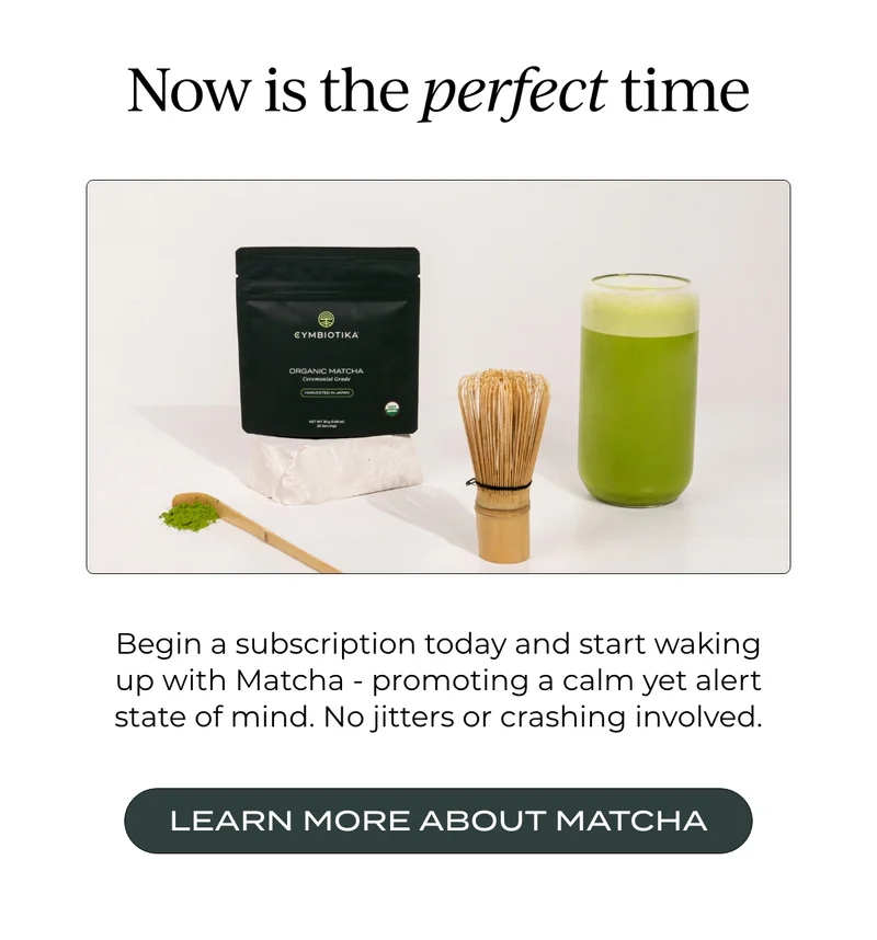 LEARN MORE ABOUT MATCHA