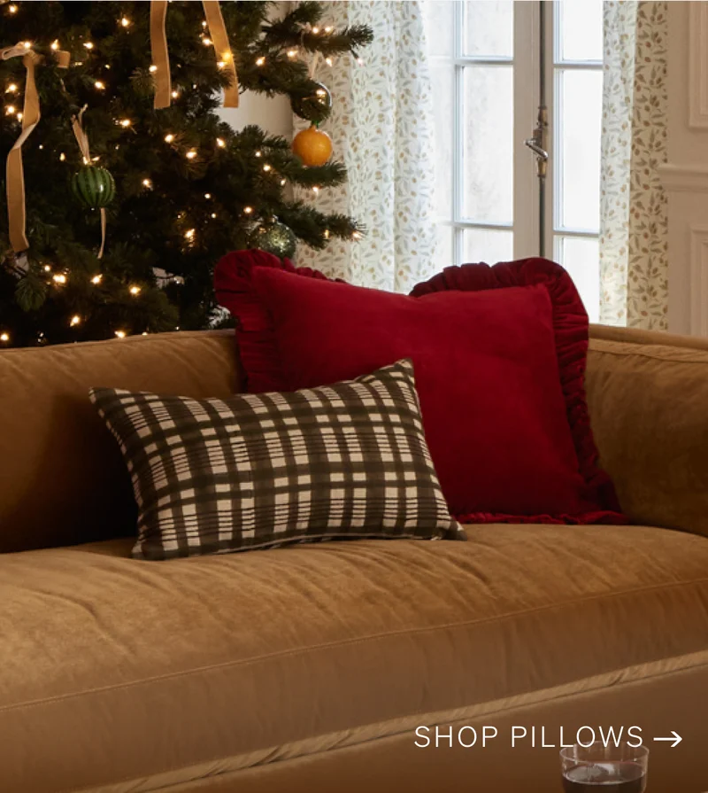Shop Pillows