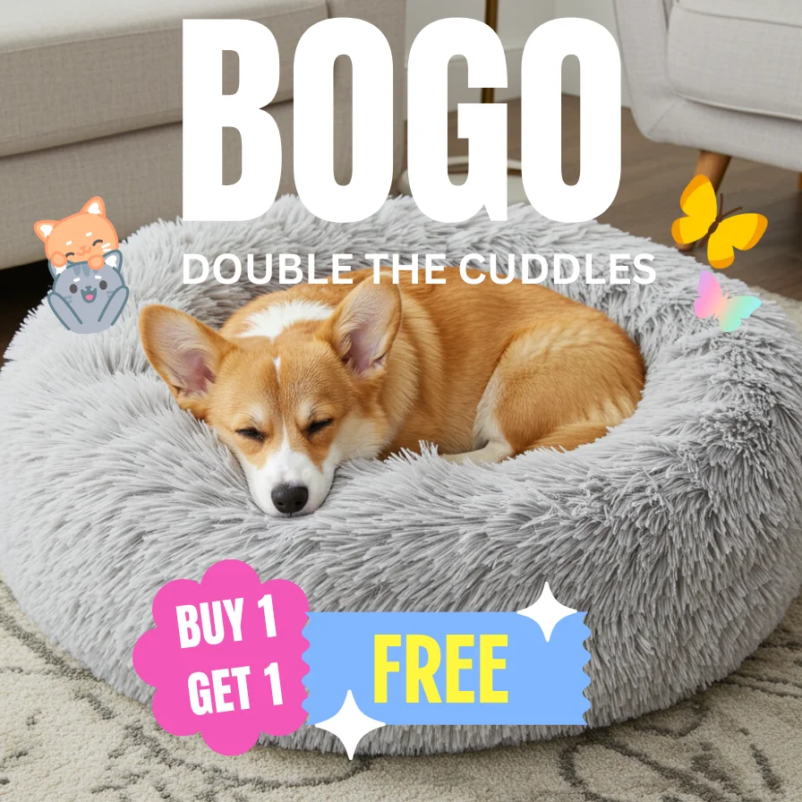 BOGO Beds