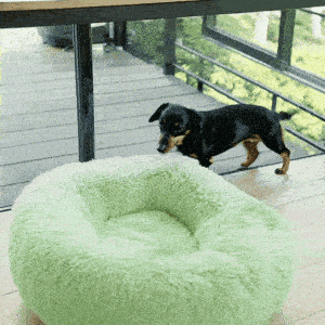 Pet Bed