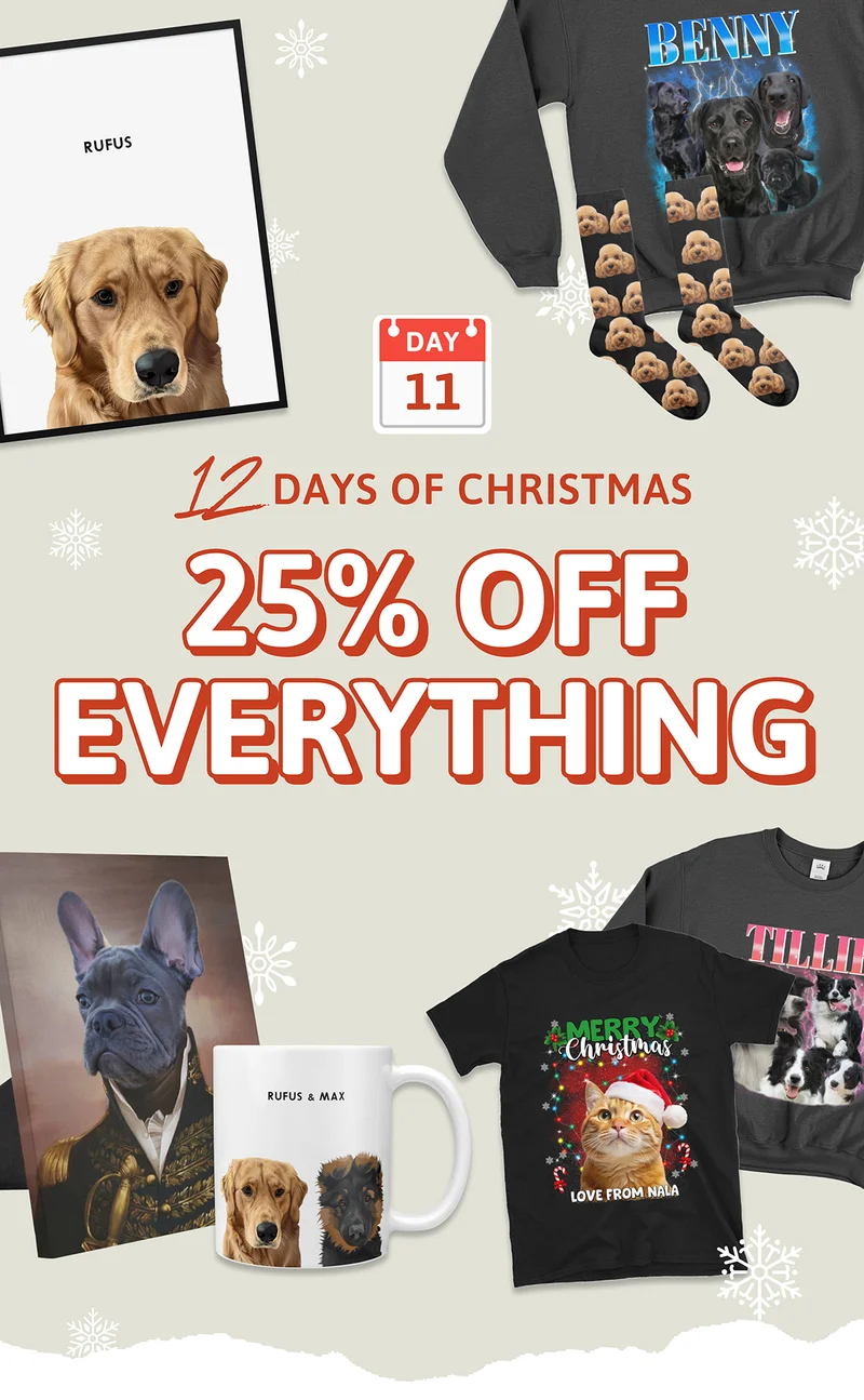 DAY 11: 12 Days of Christmas. 25% OFF EVERYTHING