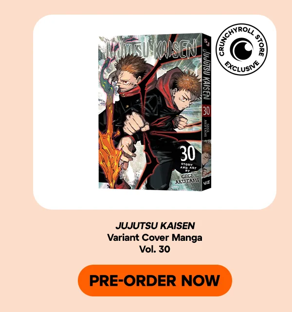 Jujutsu Kaisen Variant Cover Manga Volume 30