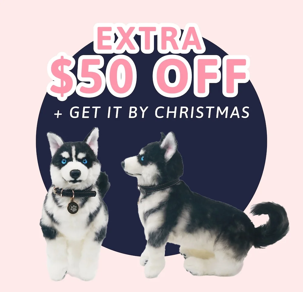$150 Off and get it by Christmas