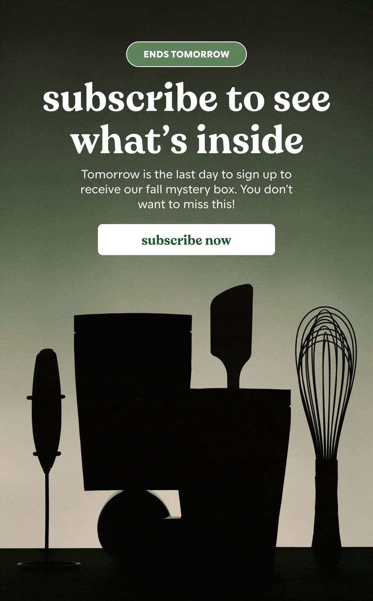 subscribe to see what's inside