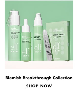 Blemish Breakthrough Collection