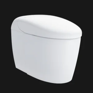TOTO's NEOREST RS Dual Flush Toilet