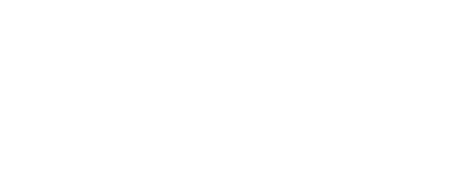 TOTO Logo