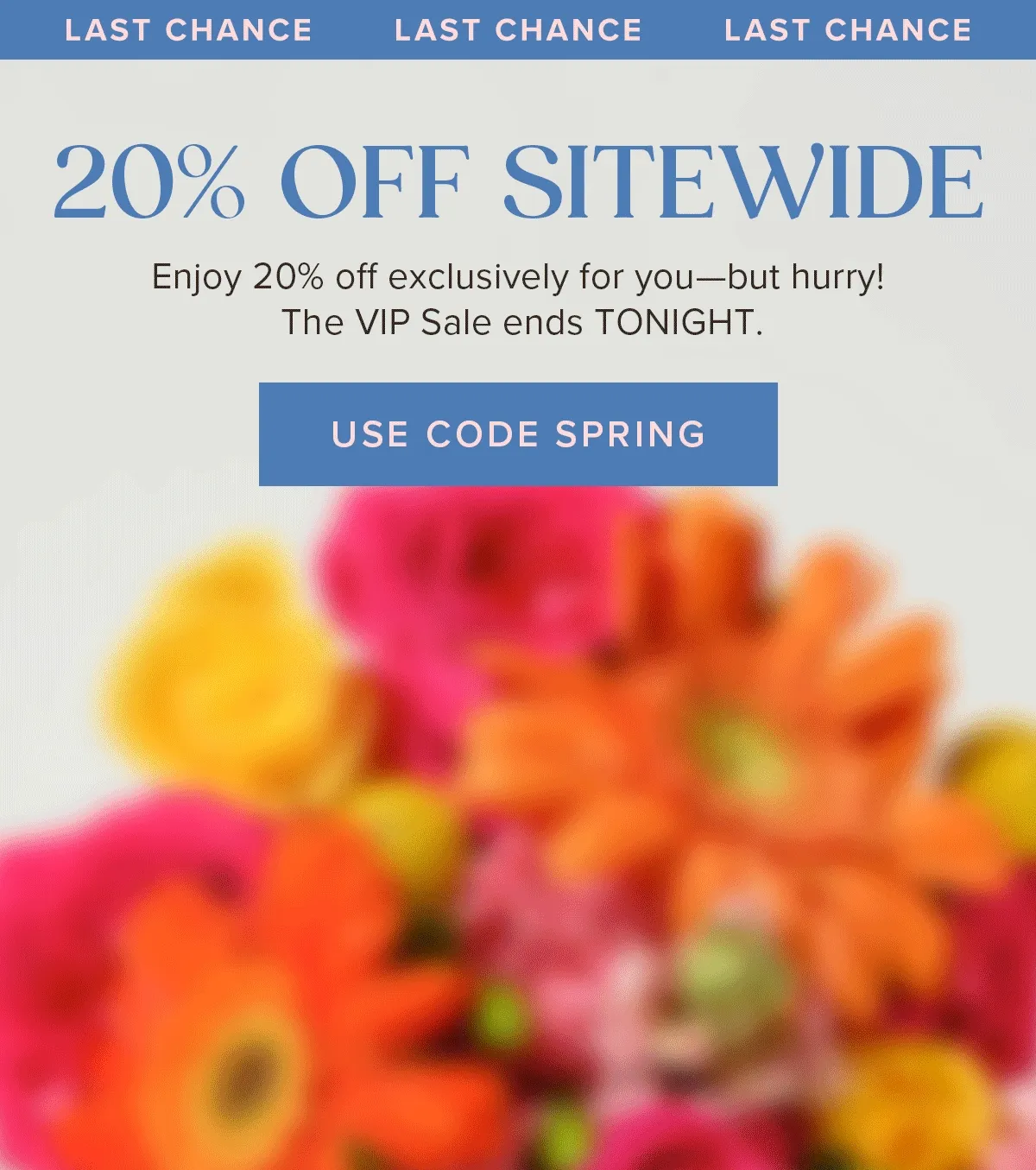 LAST CHANCE LAST CHANCE LAST CHANCE 20% OFF SITEWIDE Enjoy 20% off exclusively for you—but hurry! The VIP Sale ends TONIGHT. USE CODE SPRING