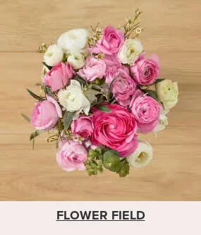 Flowers At a Great Price