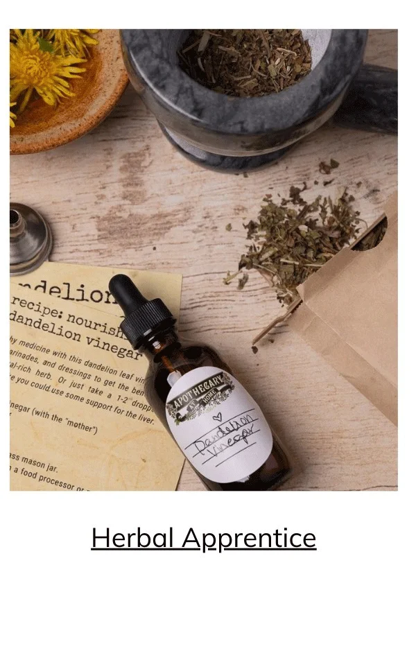 Herbal Apprentice Box Apothecary At Home