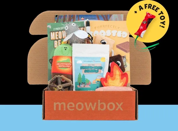 Images of Meowed about Science, Land Meow Under, '90s Meowstalgia, Tricks Treats & Toe Beans, Meowrine Life, Ameowzing Home Makeover, Purrs & Putts, Pumpkin Spice & Everything Mice and Happy Campurrs meowboxes. + A FREE TOY!