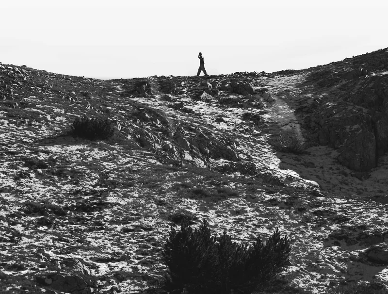 Explore while you wait