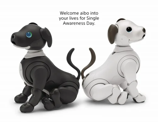 Welcome aibo into your lives for Single Awareness Day.