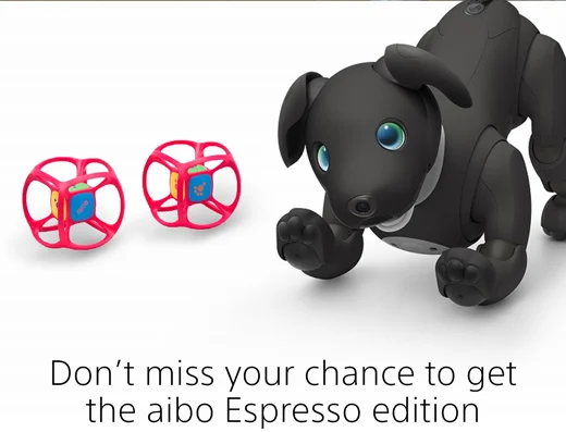 Don't miss your chance to get the aibo Espresso edition