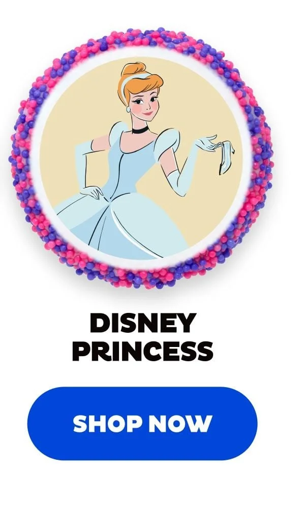 Shop Disney Princess