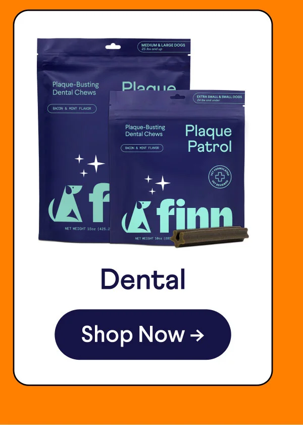 Large bag of Plaque Patrol dental chews next to a small bag with a dental chew on the side. Header reads "Dental". Button reads "Shop Now"