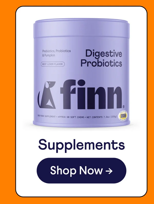 Tin of Digestive Probiotics. Header reads "Supplements". Button reads "Shop Now"