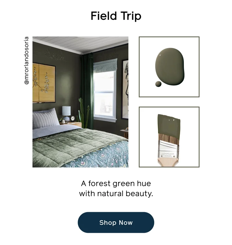 Field Trip. A forest green hue with natural beauty. Shop Now