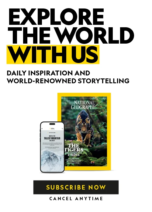 Explore the world magazine ad with a phone and a tiger on the cover