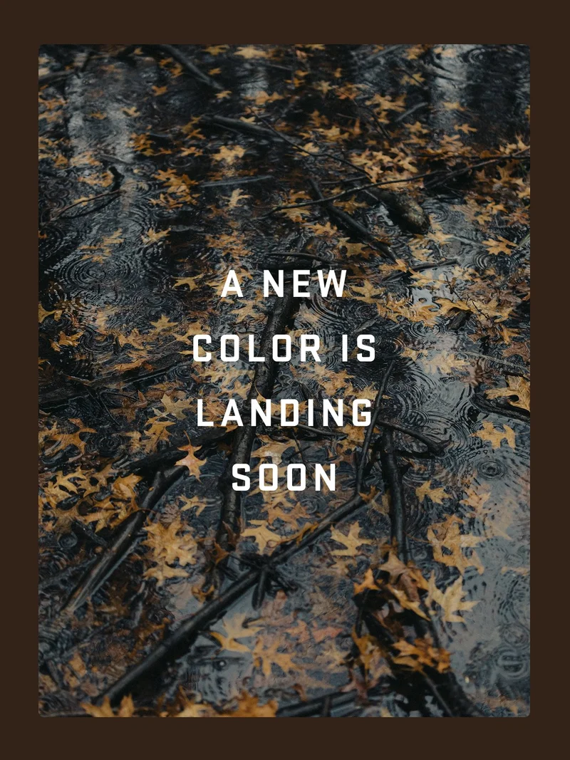Don't Miss The Drop