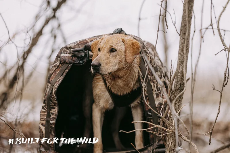 Built For The Wild