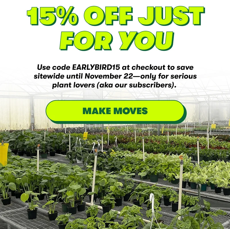 15% Off Just For You  Use code EARLYBIRD15 at checkout to save sitewide until November 22—only for serious plant lovers (aka our subscribers).&nbsp; [MAKE MOVES]