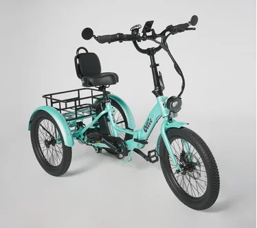 Ollie Leo Electric Trike with 500W_Motor & discount code Speed w/ Accessories