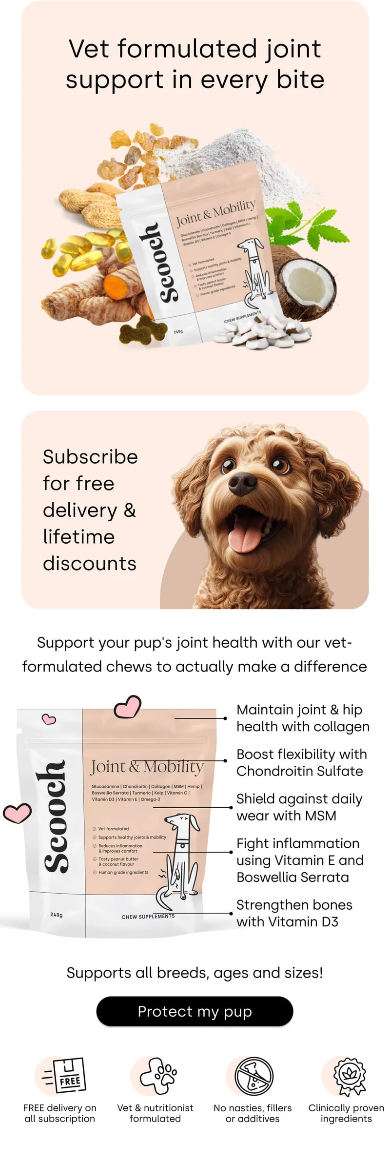 Vet formulated joint support in every bite - Protect my pup