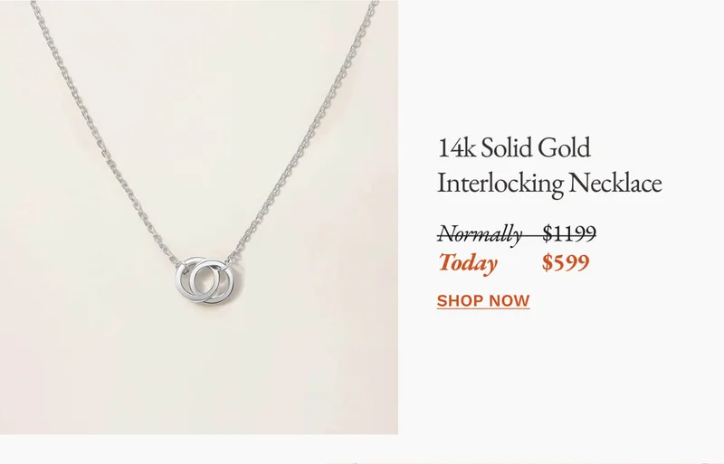 Interlocking Necklace
