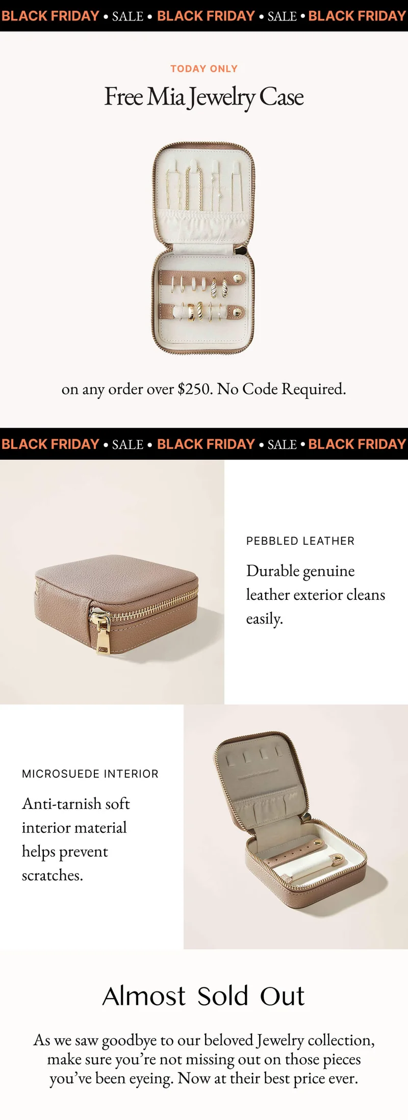 Free Mia Jewelry Case
