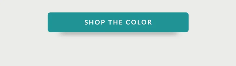 SHOP THE COLOR