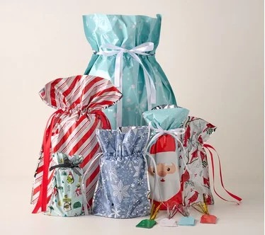 Kringle Express 50-Piece Gift Bags & Tags Set