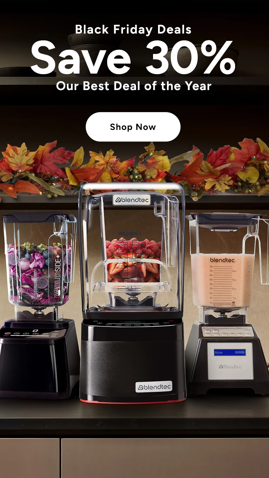 Blendtec - Black Friday Deals