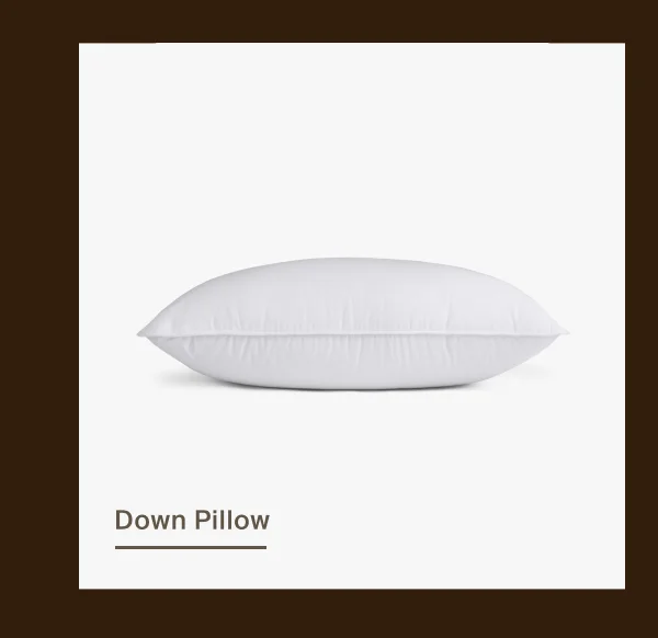 Shop Down Pillow