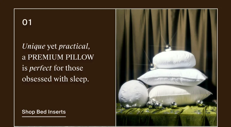Shop Bed Inserts