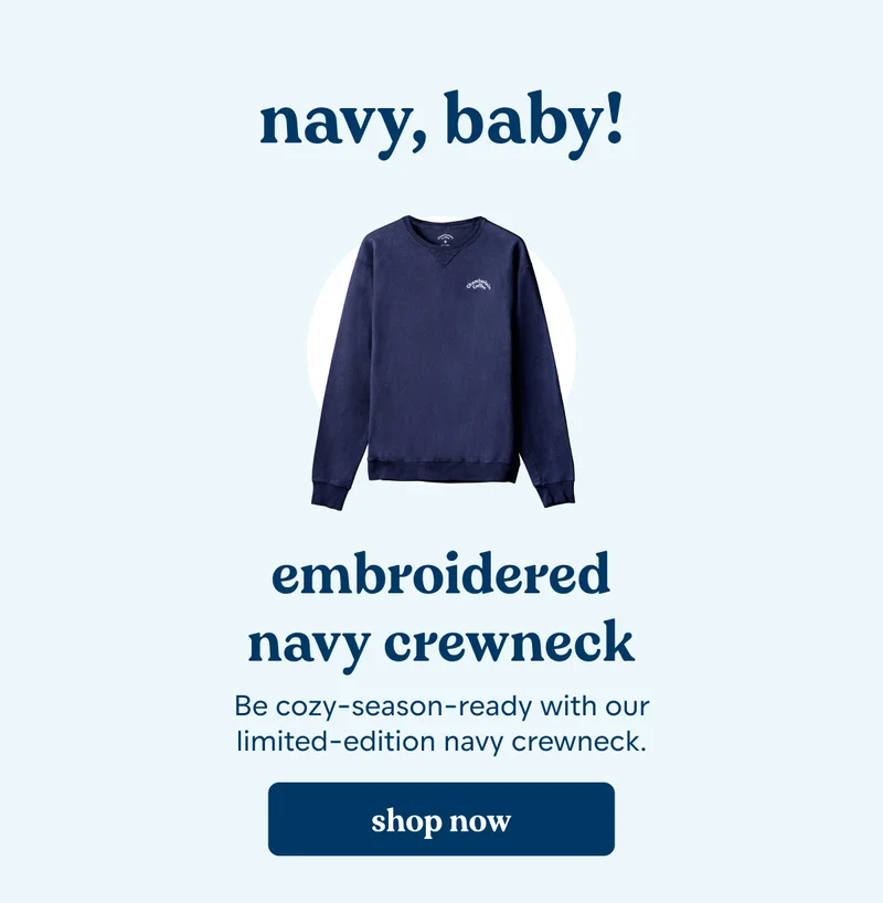 embroidered navy crewneck