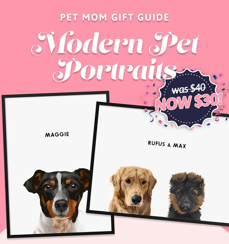 Modern Pet Portraits. was $40, NOW $30