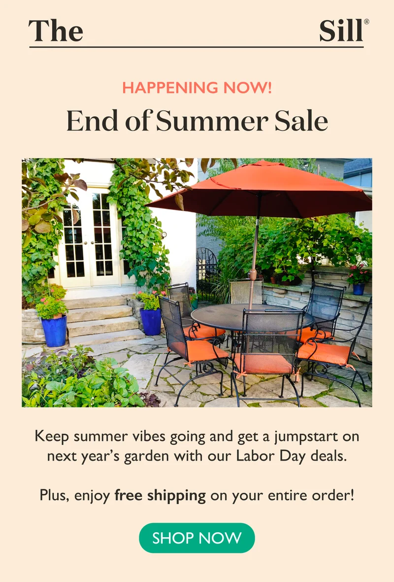Happening Now! End of Summer Sale! Save Big!