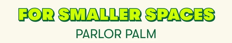 FOR SMALLER SPACES PARLOR PALM