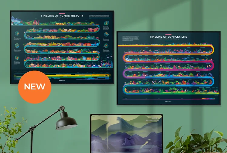 Timeline Posters Set