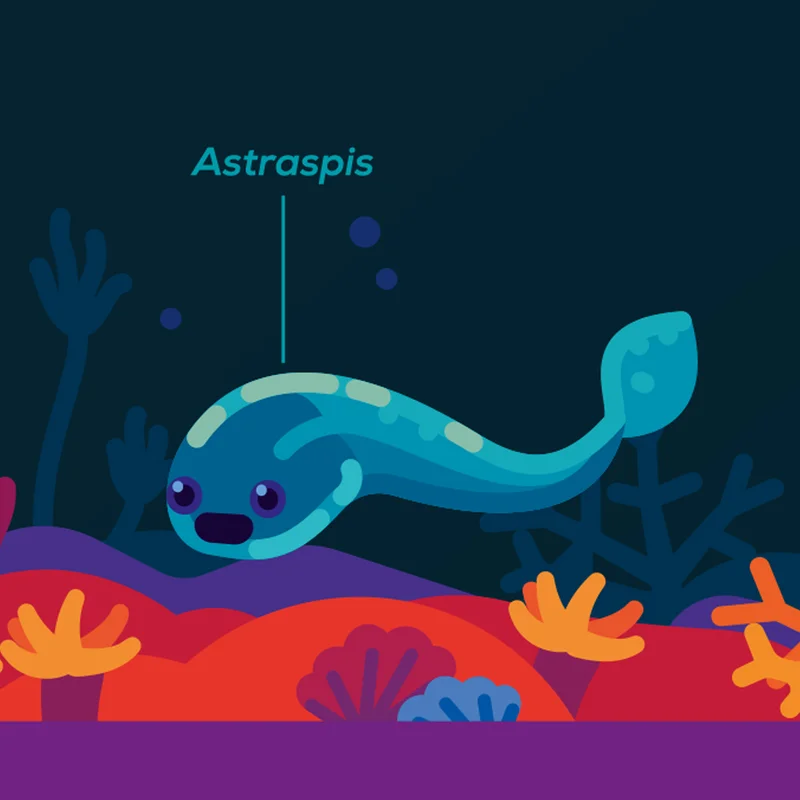 Timeline of Complex Life details