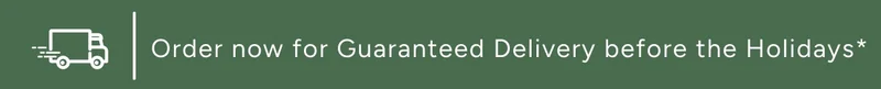 Christmas Delivery Banner