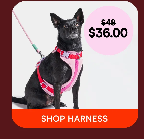 shop harness