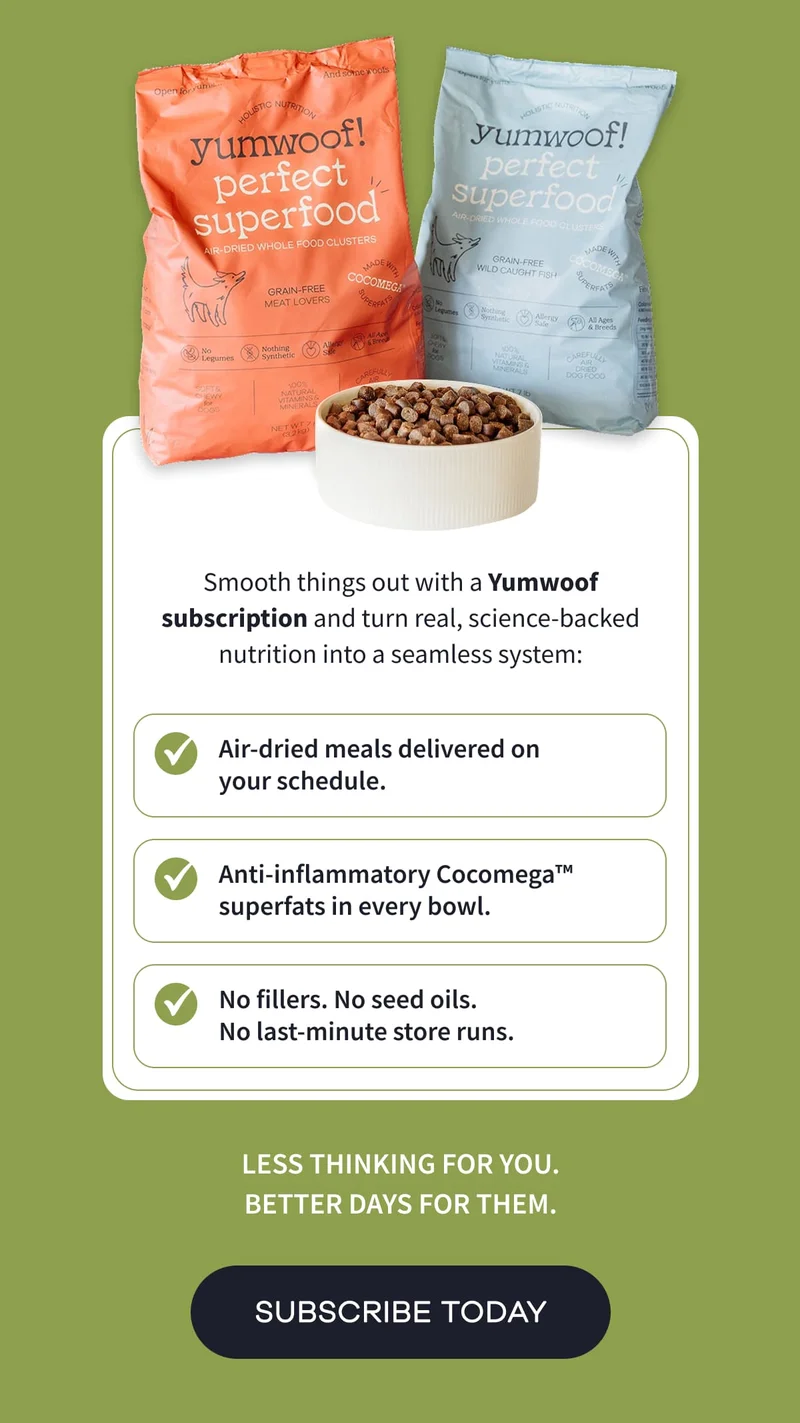 Smooth things out with a Yumwoof subscription and turn real, science-backed nutrition into a seamless system: Air-dried meals delivered on your schedule. | Anti-inflammatory Cocomega™ superfats in every bowl. | No fillers. No seed oils. No last-minute store runs. | Less thinking for you. Better days for them. | SUBSCRIBE TODAY