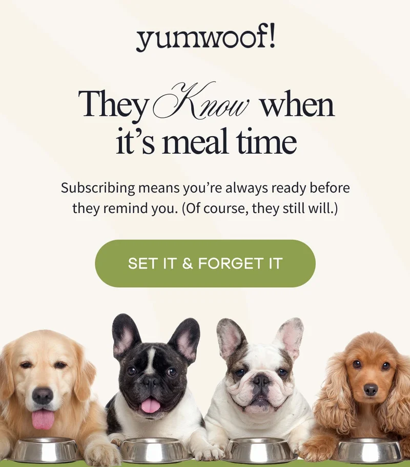 yumwoof! | They Know When It’s Meal Time | Subscribing means you’re always ready before they remind you. (Of course, they still will.) | SET IT & FORGET IT