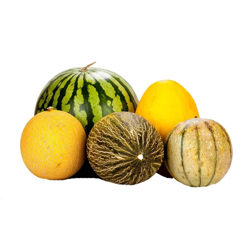 Season's Best Mystery Melon