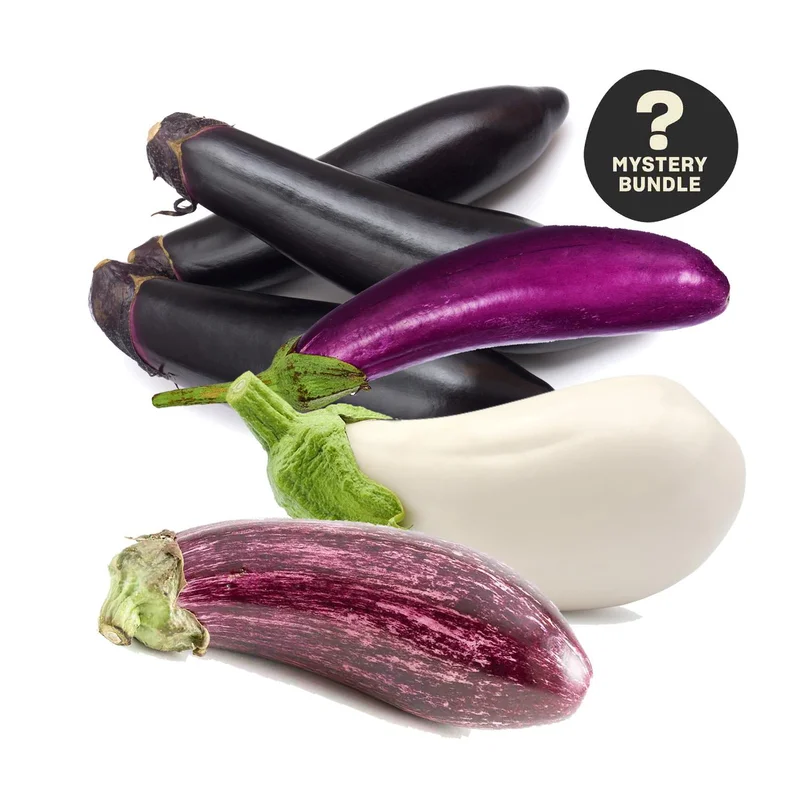 Organic Mystery Small Eggplant